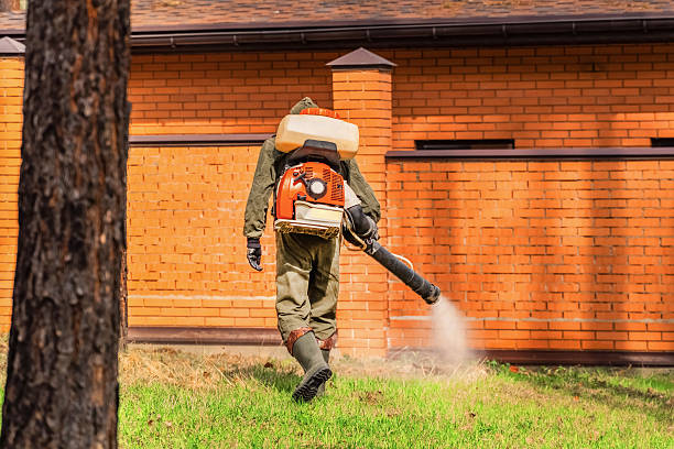 Trusted Bed Bug Control service in Pughtown, PA - Nex Pest Control